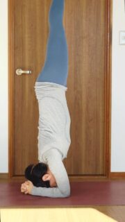 【11/7.8蓼科リトリート】恐れを手放して自分を解放しませんか?
星読み師シェリコさん @outil_cherico と
宇宙と自然と繋がり
本当の自分とは?を見つめる2日間をガイドします。
蓼科湖半、大自然に抱かれながら
思い切り深呼吸をして
ヨガ・瞑想で深い潜在意識の底へ。
そこで見つけるものは
これから開ける新しい世界への
道しるべとなると思います。
リトリートの詳細はプロフィールのリンクから。
少人数制で、濃い時間を過ごしていただけます。
みなさまとお会いできるのを、シェリコ共々、とても楽しみにしています。
 #tokyoveglife #魂の解放