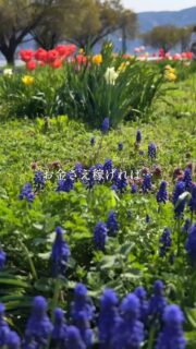 もうすぐ今年も終わり…
Natsukiと一緒にお金との関係を見直して
向かいたい場所を見定めて
そこまでの道筋を描きませんか?
発信やビジネス、マインドの在り方、
そして星Xエネルギーやヨガ瞑想まで
今のあなたに必要なツールを
カスタマイズで提供して
ホリスティックにガイドします。
3回セッションのホップステップジャンプコースと
3ヶ月のじっくりコース。
Natsukiのライフコーチングのモニターは
間もなく締め切りとなります。
気になった方は、DMからお問い合わせください。